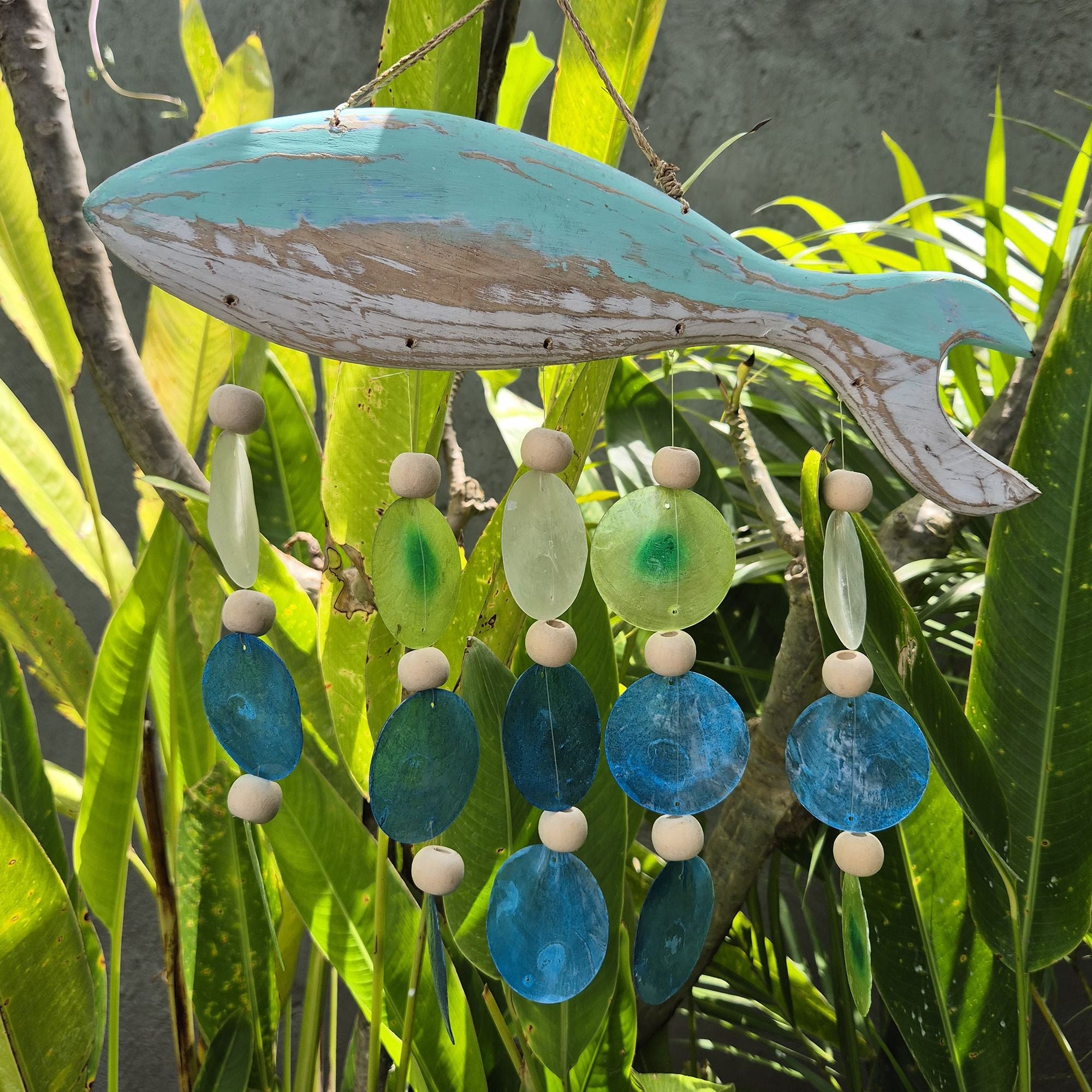 Talla de Pez en Aqua y Gota