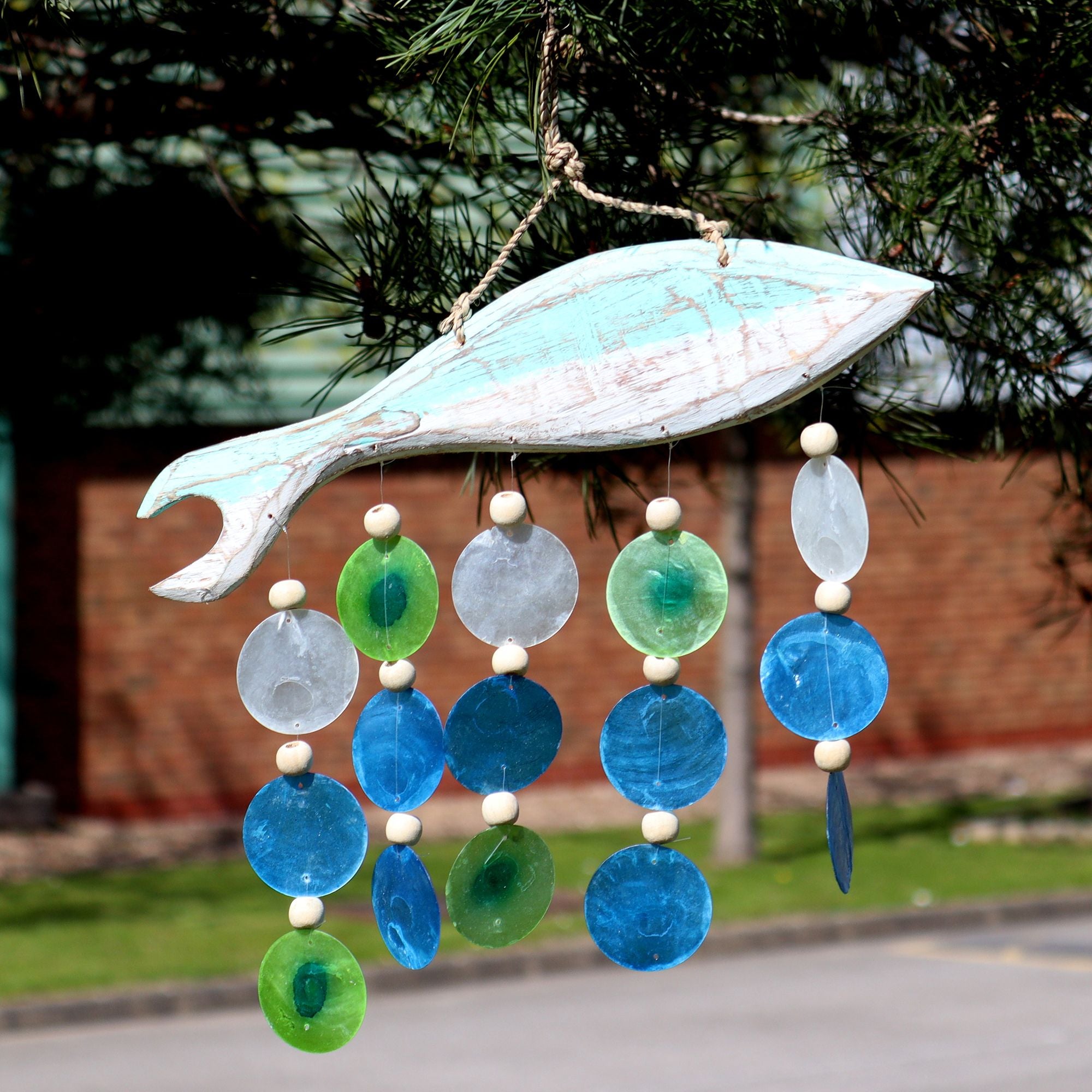 Talla de Pez en Aqua y Gota